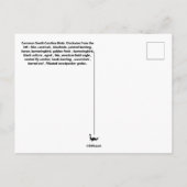 South Carolina Bird Species Collage Postkarte (Rückseite)