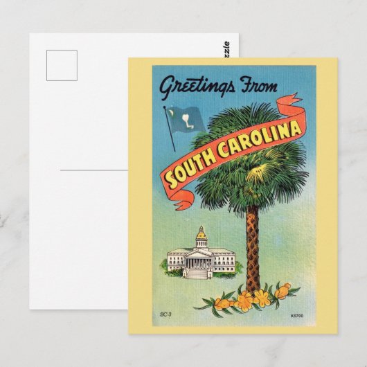 South-Carolina-Cabbage-Palme Postkarte (Vorne/Hinten)