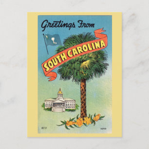 South-Carolina-Cabbage-Palme Postkarte