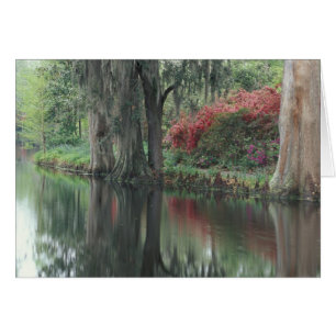 South Carolina, Charleston