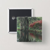 South Carolina, Charleston Button (Vorne & Hinten)