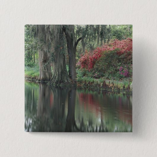 South Carolina, Charleston Button (Vorderseite)