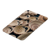 South Carolina, Charleston, Markthalle Magnet (Linke Seite)