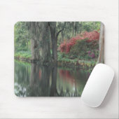 South Carolina, Charleston Mousepad (Mit Mouse)
