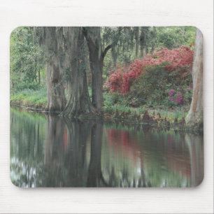 South Carolina, Charleston Mousepad