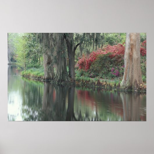 South Carolina, Charleston Poster (Vorne)