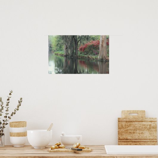 South Carolina, Charleston Poster (Küche)