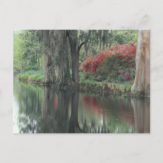 South Carolina, Charleston Postkarte (Vorderseite)