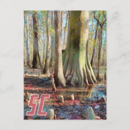 South Carolina Congaree Postcard Postkarte