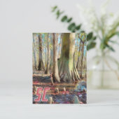South Carolina Congaree Postcard Postkarte (Stehend Vorderseite)