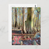South Carolina Congaree Postcard Postkarte (Vorne/Hinten)