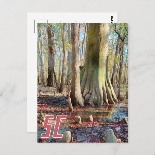 South Carolina Congaree Postcard Postkarte (Vorne/Hinten)