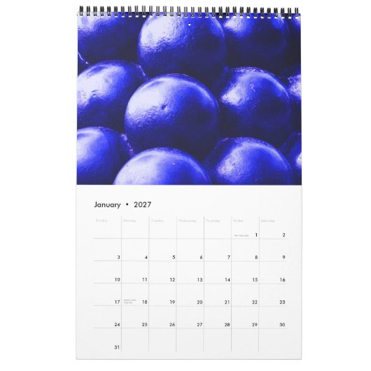 South Carolina ~ Geheimnis und Geschichte Kalender (Jan 2027)