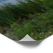 South Carolina Grosses Gewitter Wassermarsch Poster (Ecke)