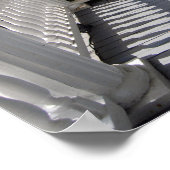 South Carolina Hammock Poster (Ecke)