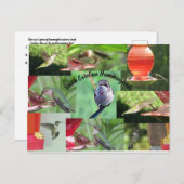 South Carolina Hummingbirds Postkarte (Vorne/Hinten)