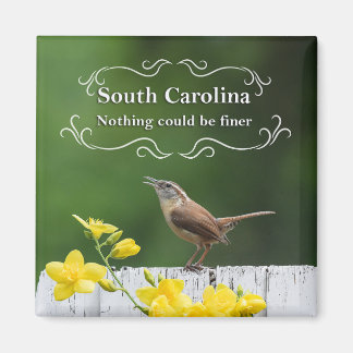 South Carolina Magnet