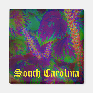 South-Carolina-Magnet Magnet