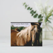 South Carolina Marsh Tacky Postkarte (Stehend Vorderseite)