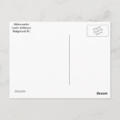 South Carolina Marsh Tacky Postkarte (Rückseite)