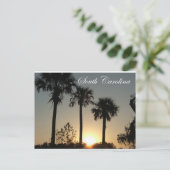 South Carolina Palmetto Sunrise Postkarte (Stehend Vorderseite)