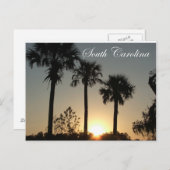 South Carolina Palmetto Sunrise Postkarte (Vorne/Hinten)