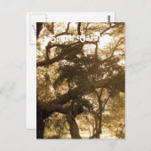 South Carolina Postkarte (Vorne/Hinten)