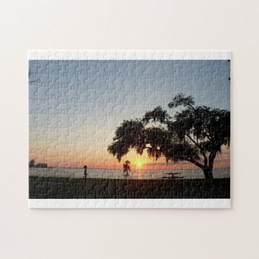 South Carolina Puzzle (Horizontal)