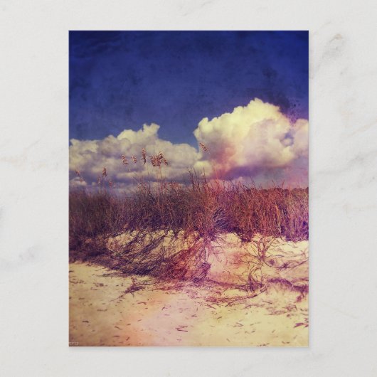 South Carolina Sand Dunes Postkarte (Vorderseite)