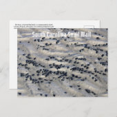 South Carolina - Snail Mail 2 Postkarte (Vorne/Hinten)