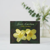 South Carolina Staat Blume: Gelbes Jessamin Postkarte (Stehend Vorderseite)