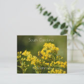 South Carolina Staat Blume Goldenrod Postkarte (Stehend Vorderseite)