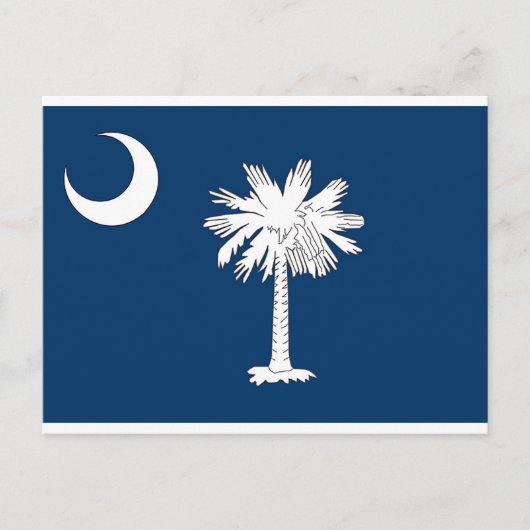 South Carolina State Flag Blue Palm Post Card Postkarte (Vorderseite)