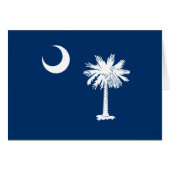 South Carolina State Flag Design Accent (Vorderseite (Horizontal))