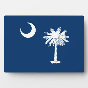 South Carolina State Flag Design Accent Fotoplatte