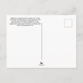 South Carolina Turtle Postkarte (Rückseite)