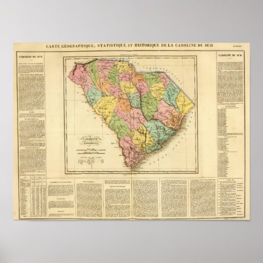 South Carolina USA Poster (Vorne)
