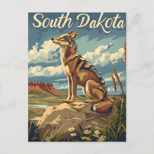 South Dakota Coyote Postkarte (Vorderseite)