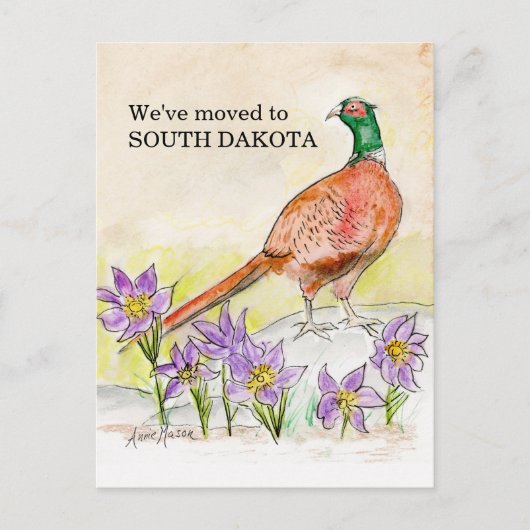 South Dakota Postkarte (Vorderseite)