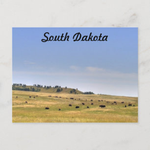 South Dakota Postkarte
