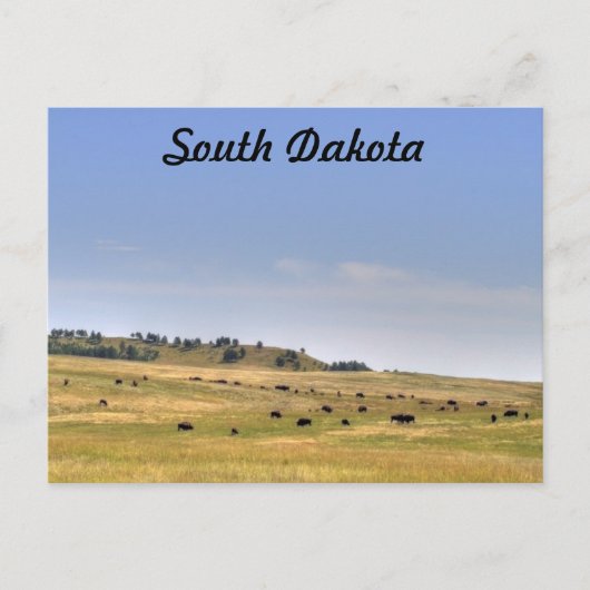 South Dakota Postkarte (Vorderseite)
