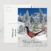 South Dakota Ring Necked Fasan Weihnachten Postkarte (Vorne/Hinten)