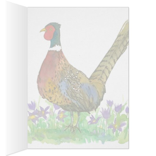 South Dakota Ring Necked Pheasant Blank (Innen (Rechts))