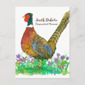 South Dakota Ring Necked Pheasant Pasque Blume Postkarte (Vorderseite)