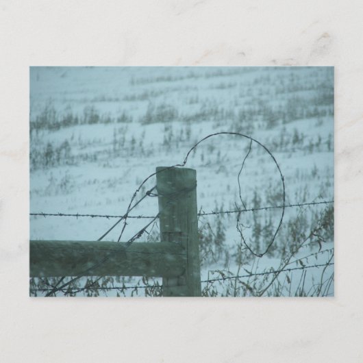 South Dakota Snowstorm Postkarte (Vorderseite)