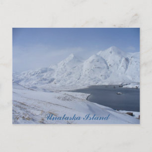 South End of Captain's Bay, Insel Unalaska Postkarte