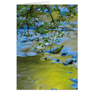 South Fork Wilson River, Oregon