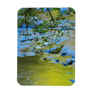 South Fork Wilson River, Oregon Magnet