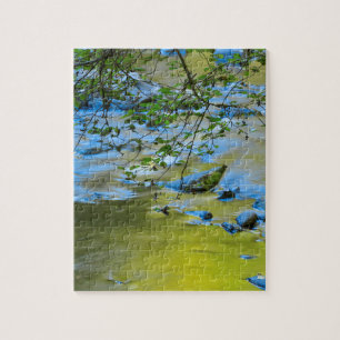 South Fork Wilson River, Oregon Puzzle