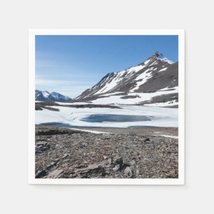 South Georgia Landscape Serviette